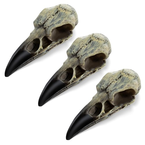 3pcs halloween raven skull - 3pcs,