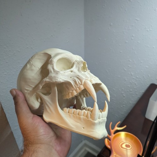 Cool vampire skull - cool,