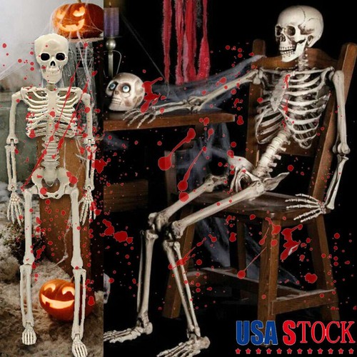 Halloween human skeleton - halloween,