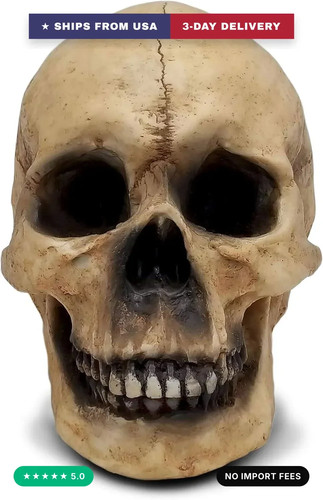 Mortuis actual size faux - 8",