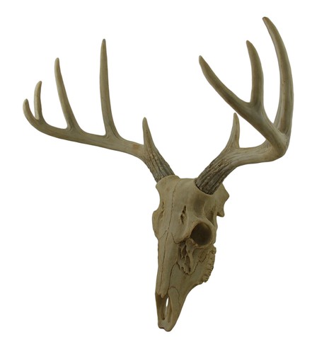 Little bucky wall mounted - bucky, faux